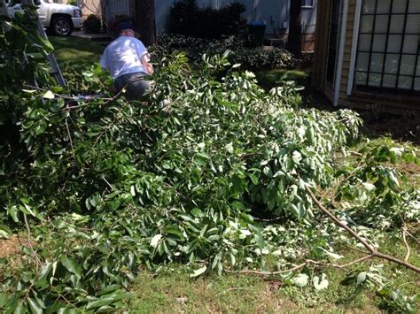 Image result for Homemade Tree Pruner