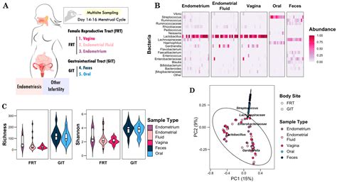 Distinct Gastrointestinal and Reproductive Microbial Patterns in Female ...