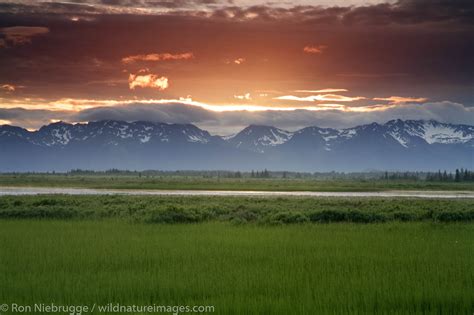 Copper River Delta | Photos by Ron Niebrugge