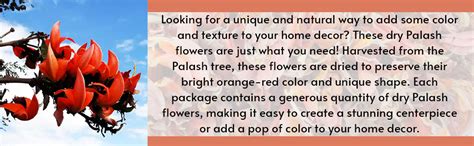 RUKDA® Organic Kesuda Flowers for Holi and Pooja | A1 Quality Dry ...
