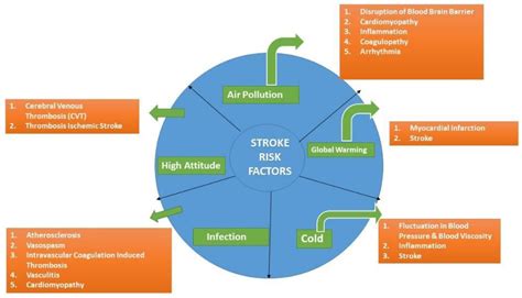 Emerging Stroke Risk Factors: A Focus on Infectious and Environmental Determinants
