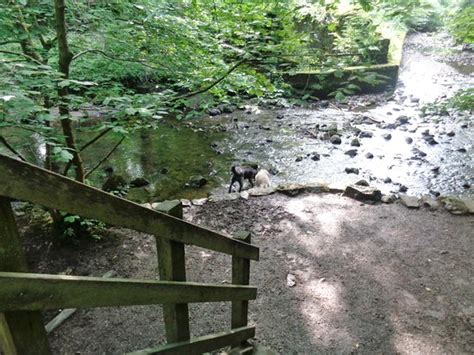 Loggerheads Country Park (Mold) - 2020 What to Know Before You Go (with ...
