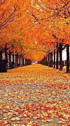 Wallpaper Lock Screen Fall Background by Autumn Landscape Iphone Wallpapers Lock Screen Wallpaper Lock Screen Fall Background