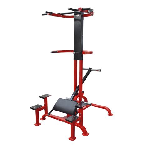 Assisted Chin - Dip Combo — MSFFIT