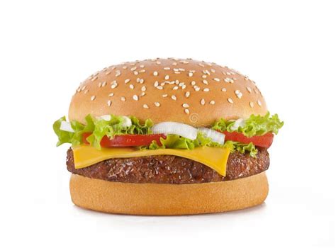 Image result for Where to Find Spring Code