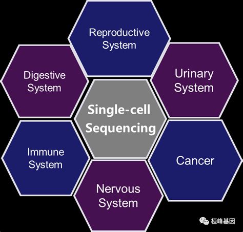 qPCR 的图像结果