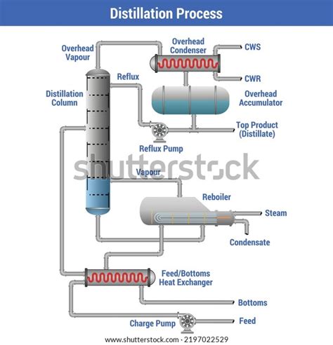 Distillation 的图像结果
