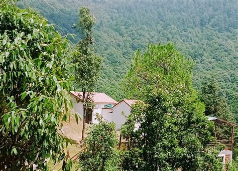 CUCKOOO COTTAGES (Pangot, Uttarakhand) - Lodging Reviews, Photos, Rate ...