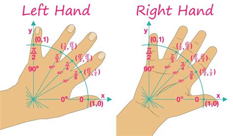 Image result for Unit Circle Hand