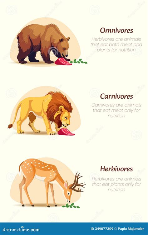 Carnivore Herbivore Or Omnivore