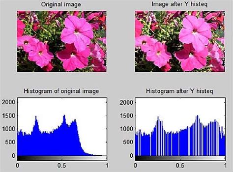 Histogram Specification Problems Solved in Image Processing 的图像结果