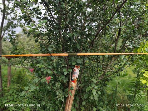English Longbow Making 的图像结果