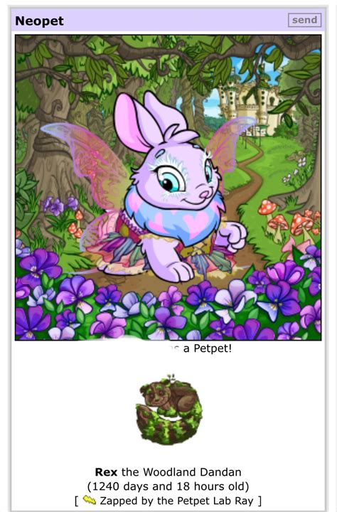 Petpet Lab Ray Zapped a Petpet to Match my Customization! : r/neopets