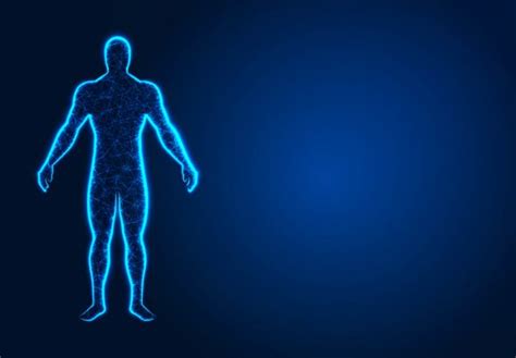 Image result for Virtual Reality Body Systems