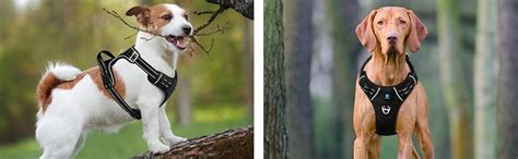 HANK Dog Neck Belt - Dog Belt for Medium Dogs - 3M Reflective - Easy ...