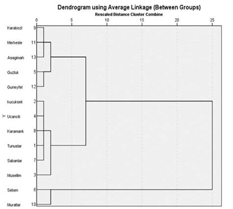 Community Cluster Analysis Drawing 的图像结果