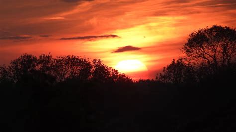 Sunset Window 的图像结果