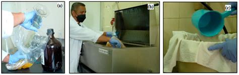 Oil Palm Empty Fruit Bunches as Raw Material of Dissolving Pulp for ...