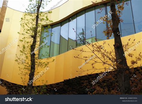 Tree Inside Building 的图像结果