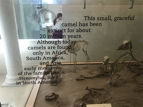 Extinct 的图像结果