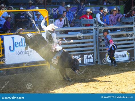 Rodeo Bull Riding editorial photography. Image of spanish - 46478772
