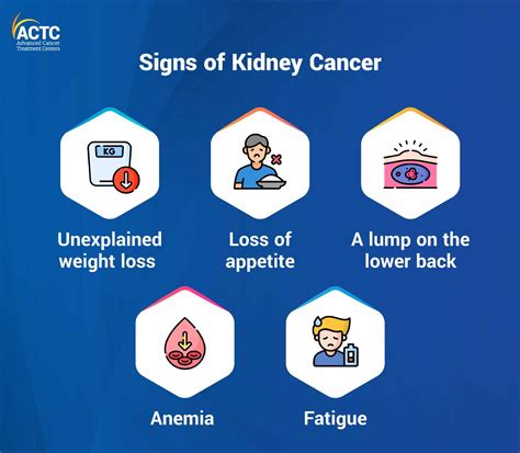 Kidney Cancer: Warning Signs, Tests & Next Steps | ACTC Health