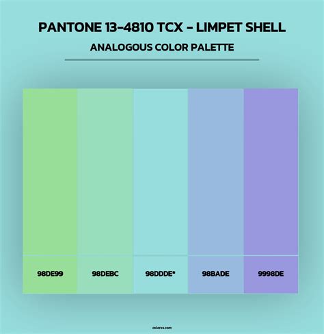 Image result for Limpet Shell Color