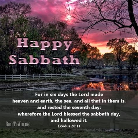 OIP.Ie9rm1PJmthB-fMZjMGEygHaHa