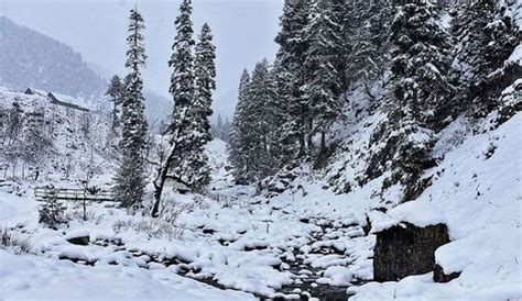 Sandeep’s Winter Trip To Kashmir In December 2025 – Full Itinerary