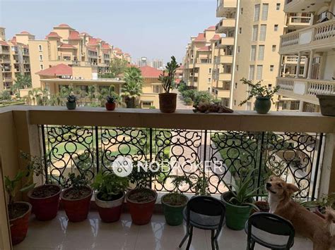 3 BHK Flats for Sale in Parsvnath Greenville , Gurgaon | 213+ 3 BHK ...