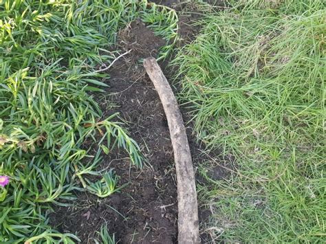 Communitree - Garden Maintenance