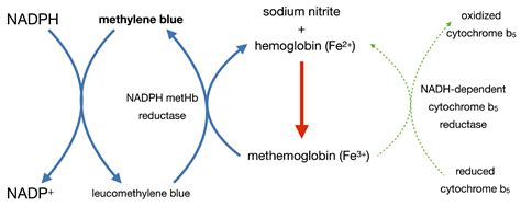 Double Fatal Sodium Nitrite Poisoning—Double Homicide, Extended Suicide ...