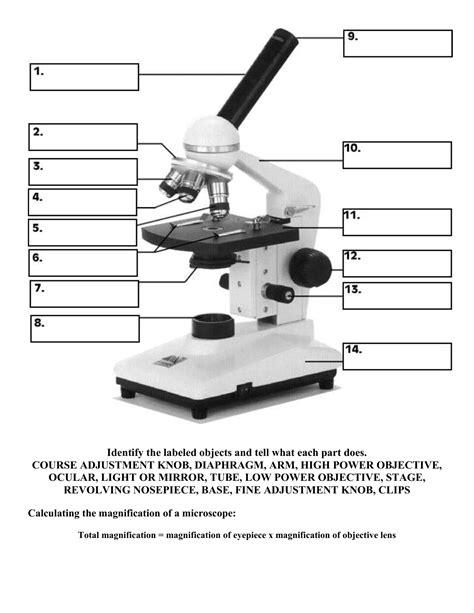 Image result for Function of Microscope