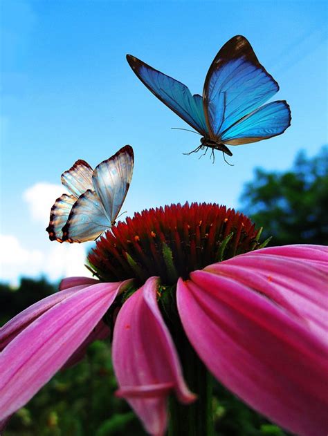 OTEL' VIKTORIYA (Berezyna) - Guesthouse Reviews & Photos - Tripadvisor