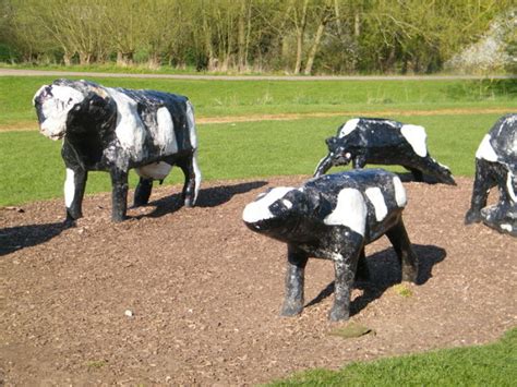 Concrete Cows, milton keynes, United Kingdom - Top Attractions, Things ...