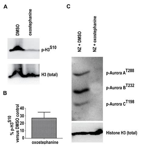 Cytotoxic and Anti-Plasmodial Activities of Stephania dielsiana Y.C. Wu ...