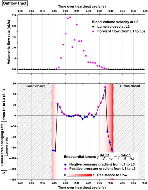 Image result for Gradient Resistance