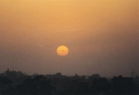 Photographs from Dr Abhijit Das