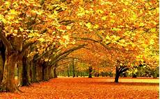 High Resolution Fall Backgrounds Laptop by Autumn Wallpaper Widescreen 183 Free Amazing High High Resolution Fall Backgrounds Laptop