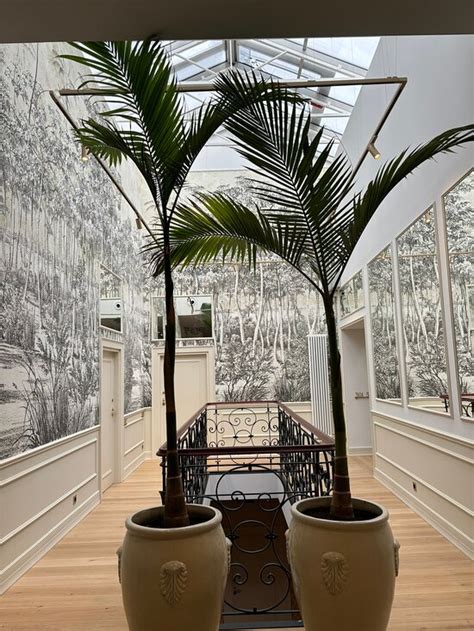 HOTEL UNICUS PALACE (Krakow) - Hotel Reviews, Photos, Rate Comparison ...