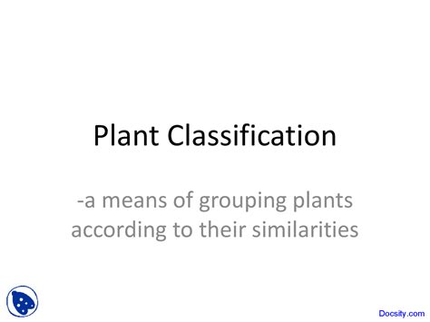 Plant Classifications Explained 的图像结果