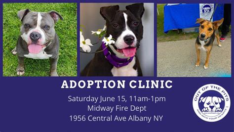 OOTP Adoption Clinic, Midway Fire Department, Colonie, 15 June 2024 ...