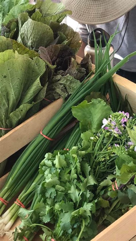 The Local Store Picton 的图像结果