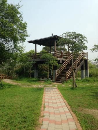 19 Hectares Grassland (Xiangshan) - 2021 What to Know Before You Go ...