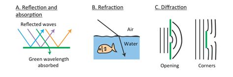 Multispectral Imaging Tutorial 的图像结果