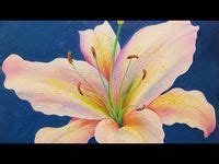 Butterfly Tutorials Angela Anderson 的图像结果