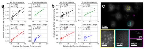 Investigation of Sonication Parameters for Large-Volume Focused ...