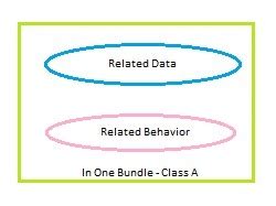 Encapsulation Java Example 的图像结果