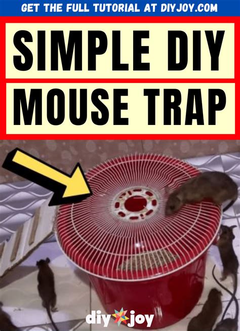 Electronic Mouse Trap Homemade 的图像结果