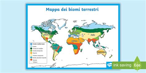 Mappa dei Biomi Terrestri | Geografia (teacher made)